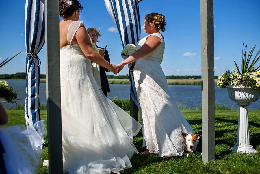 A dog hiding under a wedding dress during a wedding in NJ.